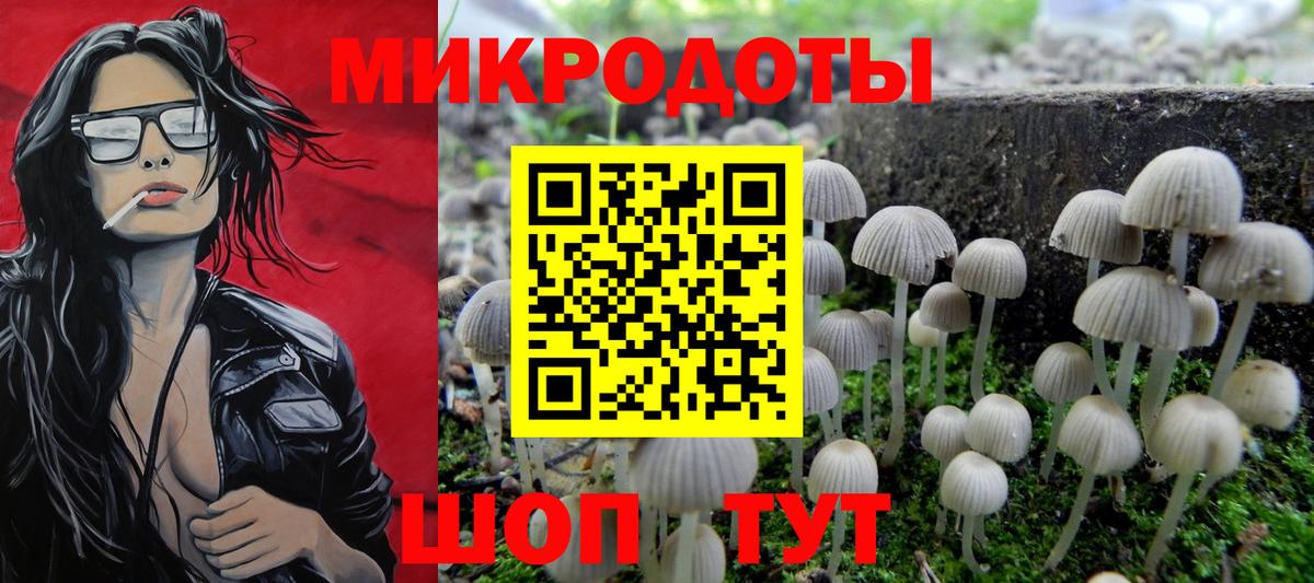 Псилоцибиновые грибы мицелий  Галлюциногенные грибы MAGIC MUSHROOMS  Сокол  цены наркотик  Вход с VPN 